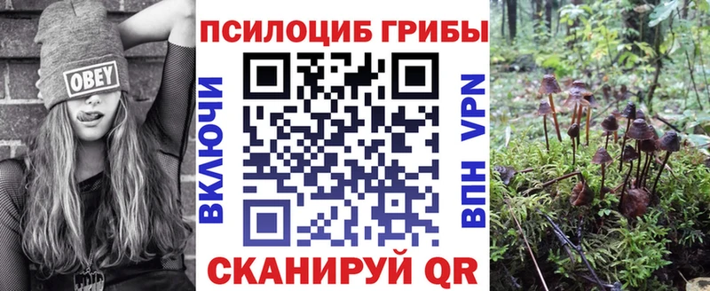 darknet наркотические препараты  Нестеров  Галлюциногенные грибы мицелий  дарнет шоп 